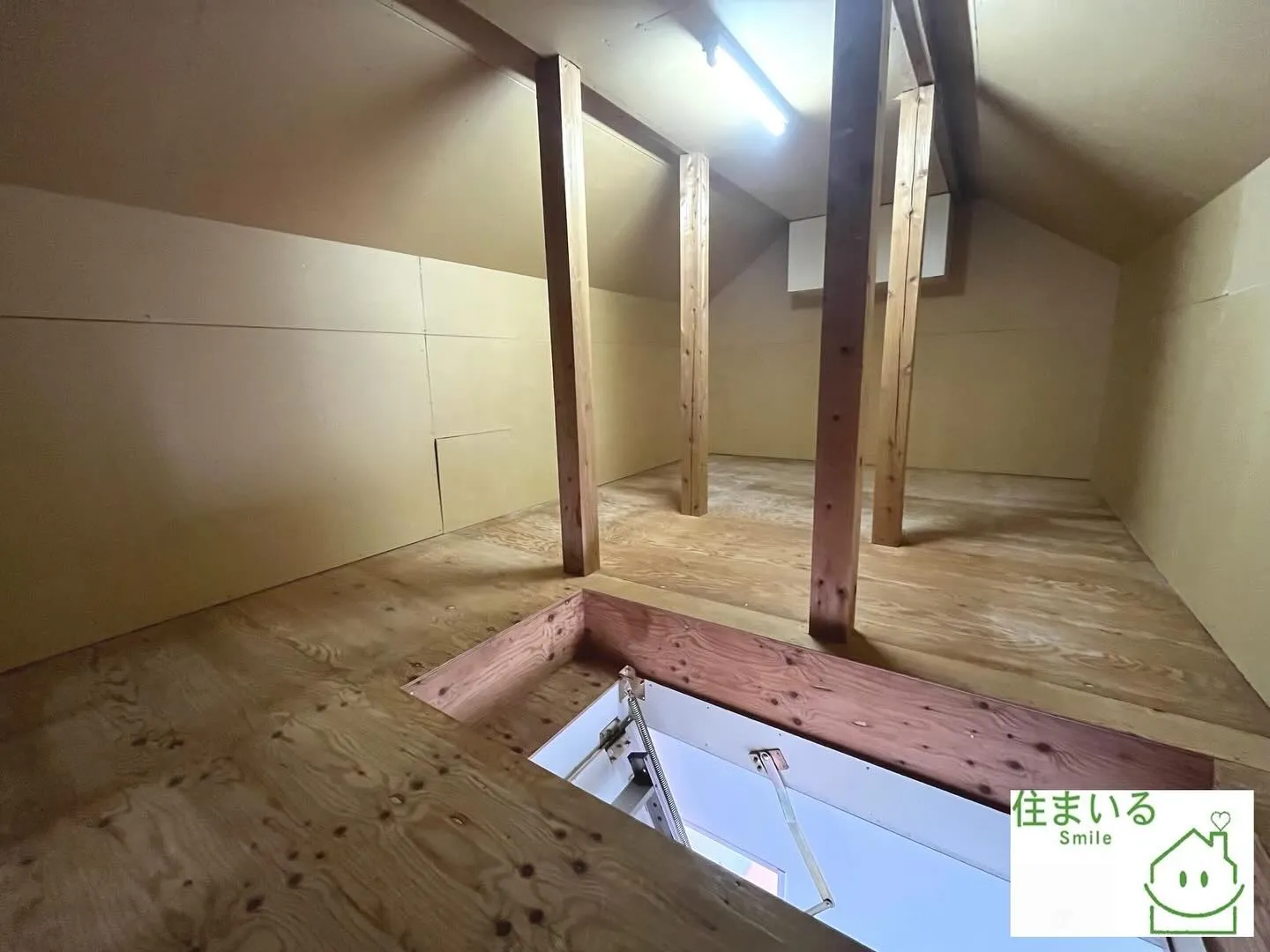 🏡 家の裏に公園！？