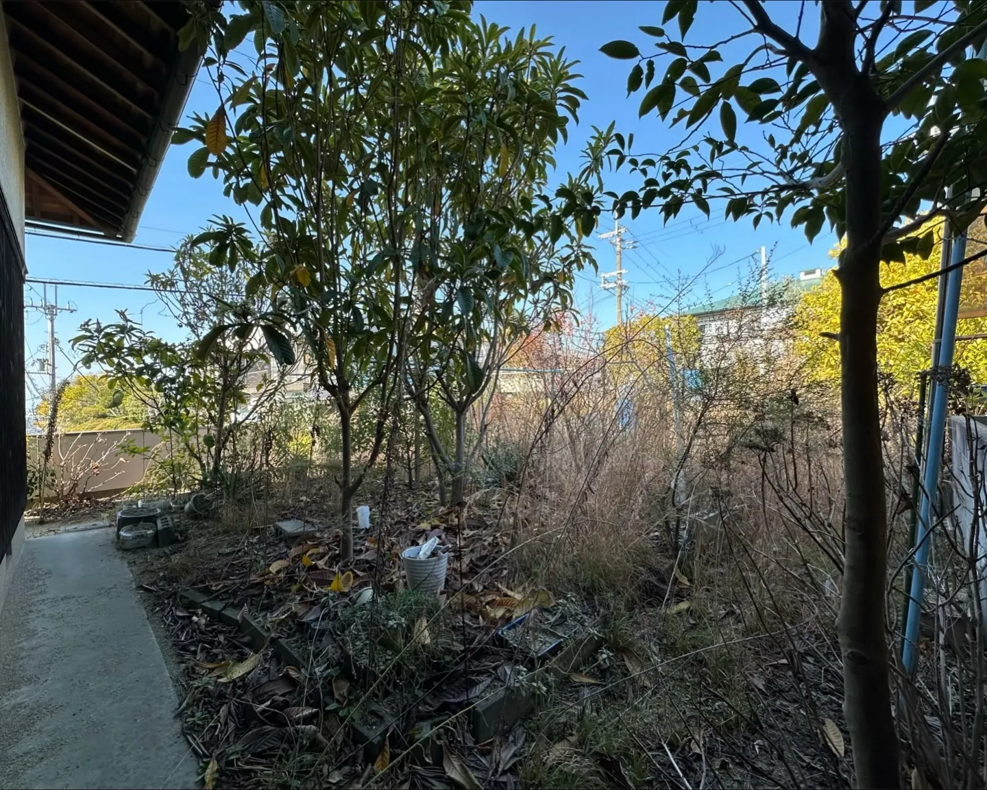 角地x154超え‼️建て替えもリフォー