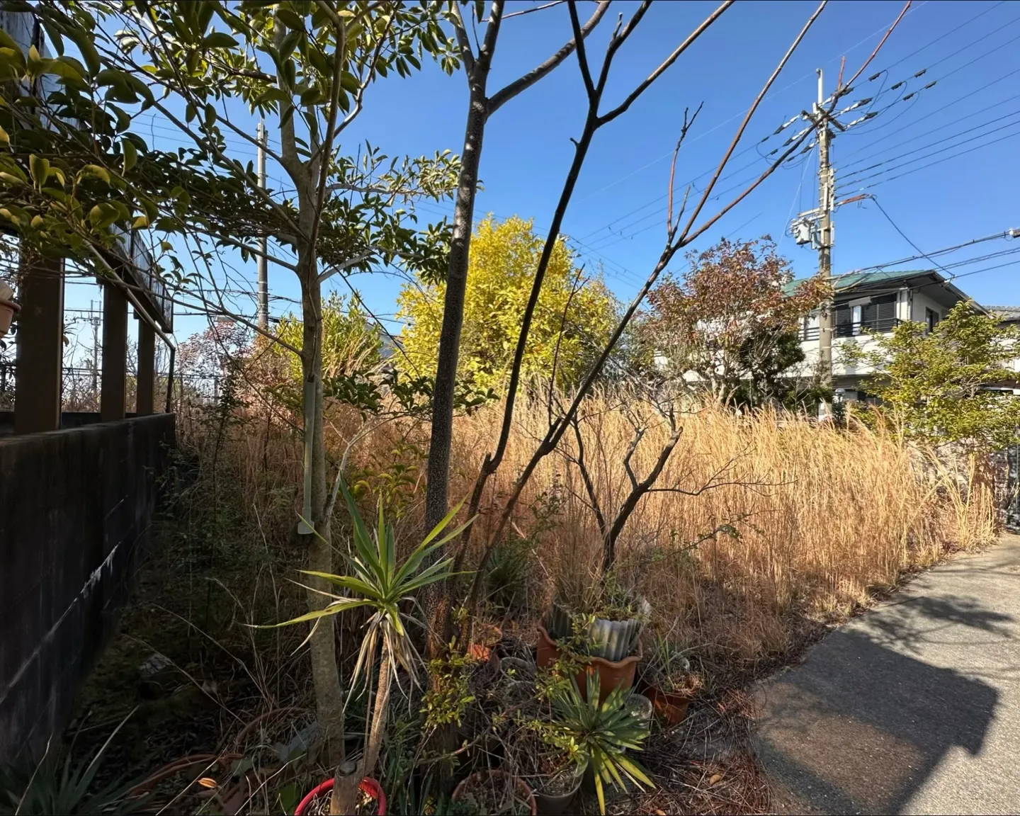 角地x154超え‼️建て替えもリフォー