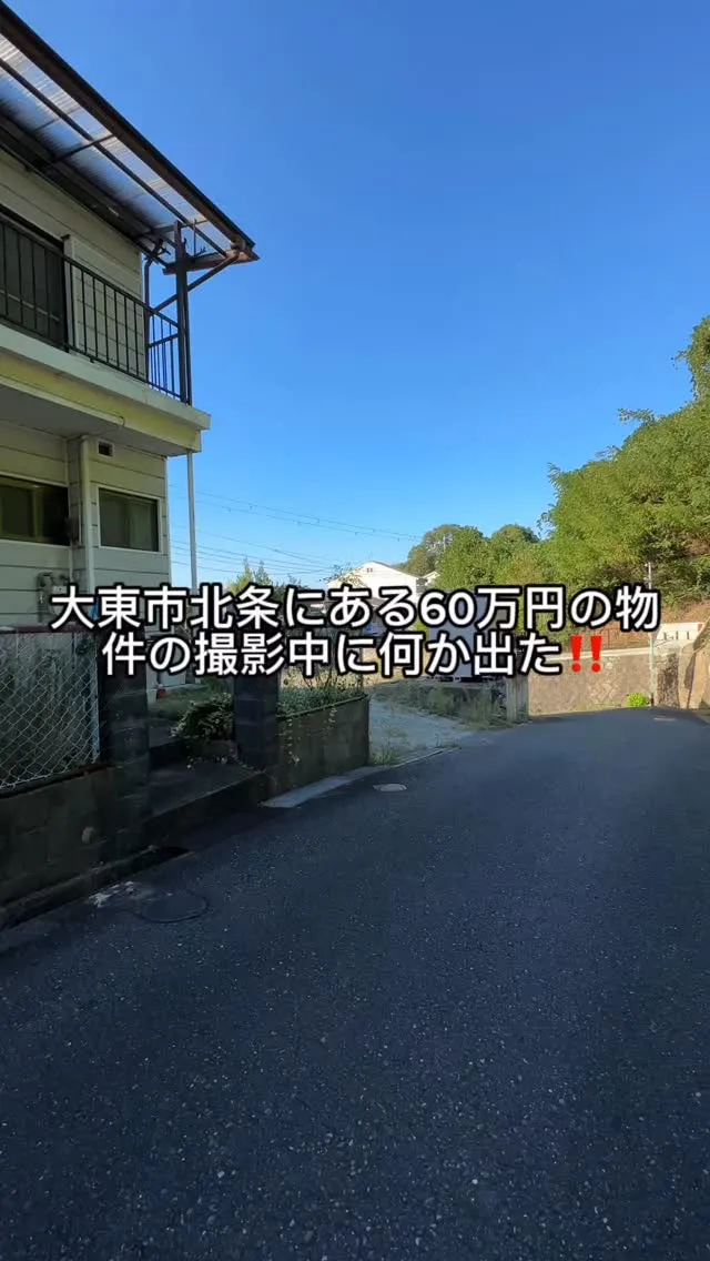 （株）住まいるの吉本です！皆さん、お疲れ様です！先日撮影した...