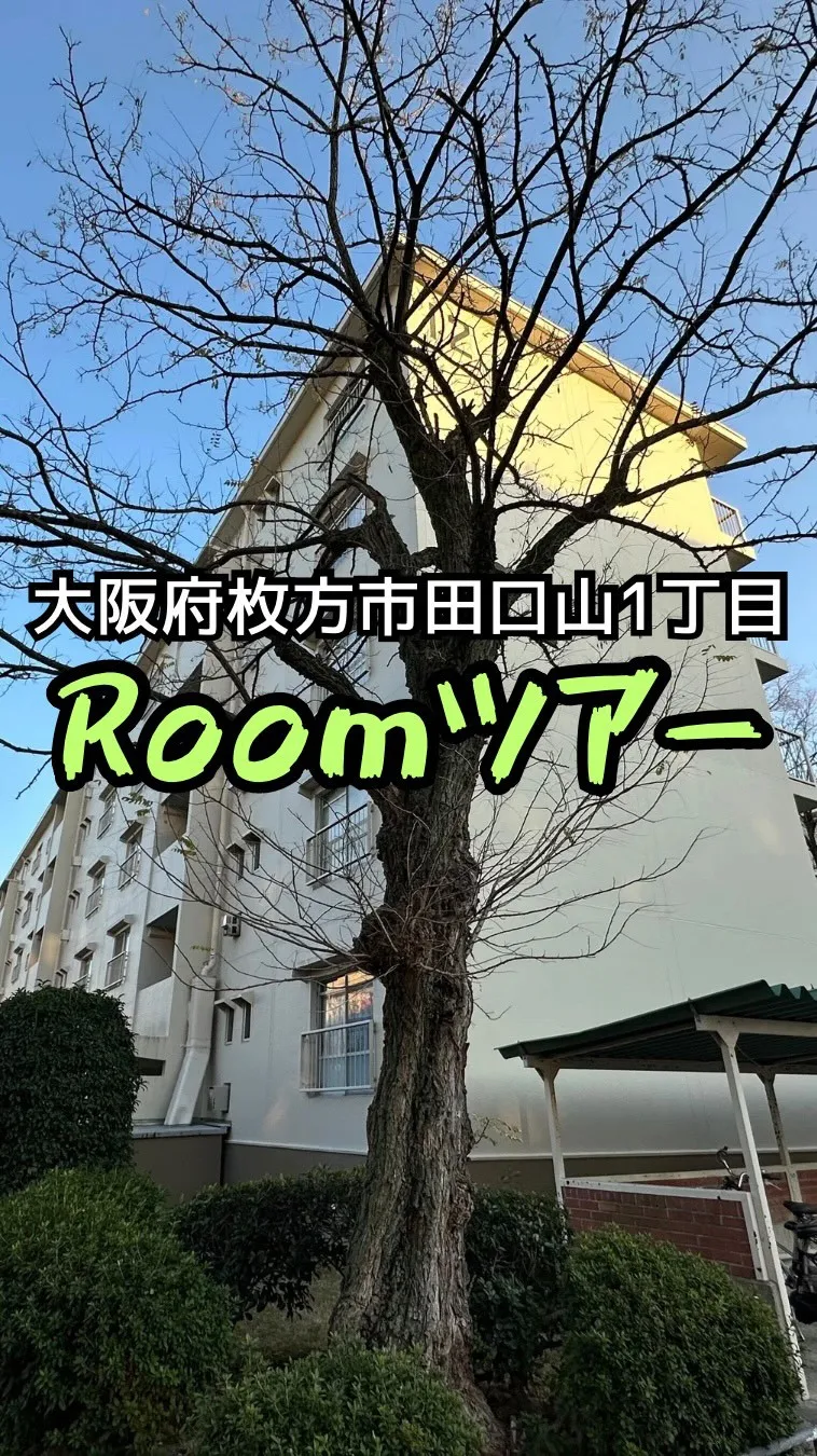 すぐ住める明るくてちょうどいいお部屋金🏡